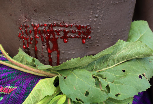 Scarification With Razor Blade, Suri, Ethiopia