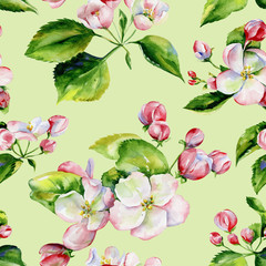 A blooming branch of apple tree in spring watercolor. Hand drawn apple tree branches and flowers seamless pattern. Perfect for wallpaper, fabric design, textile design, cover, surface textures. - 269671673