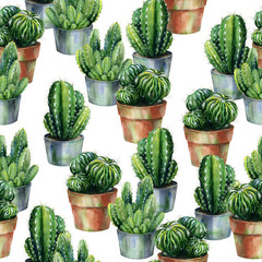 Cacti seamless pattern watercolor. Cactus in blossom illustration. Use as print, home or garden decoration, wrapping paper, textile or wallpaper.  - 269672230