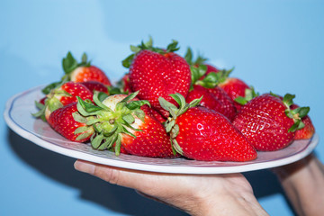 hands holding plate of strawberries, concept of diet and nutrition