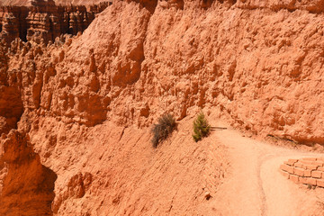 landscape navajo loop trail bryce canyon in the united states of america
