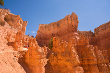 landscape navajo loop trail bryce canyon in the united states of america