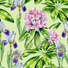 Tropical rhododendron flowers and iris seamless pattern watercolor. Interior wallpaper with pink azalea. Exotic plants print. - 269673078