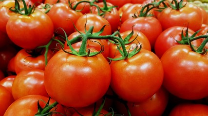 Tomates de rama