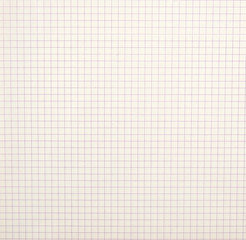 sheet of school notebook in a cell, full frame