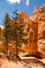landscape navajo loop trail bryce canyon in the united states of america