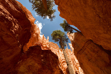 landscape navajo loop trail bryce canyon in the united states of america