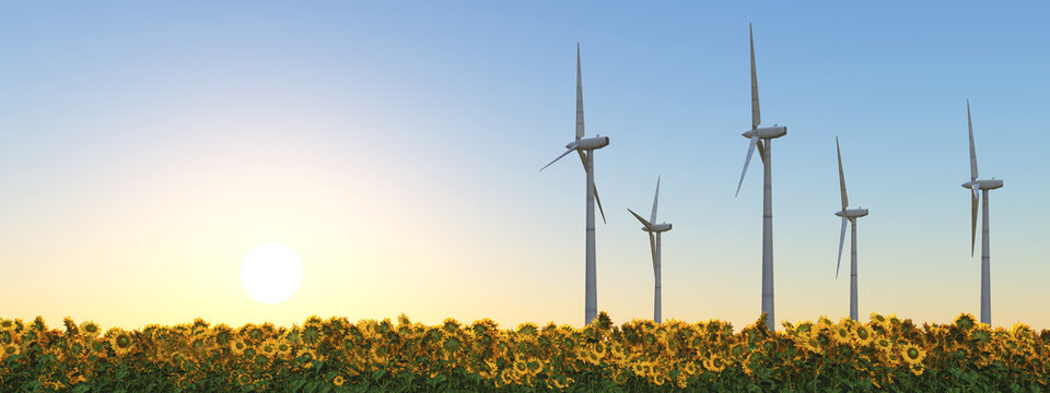 Windkraftanlagen in einem Sonnenblumenfeld bei Sonnenuntergang