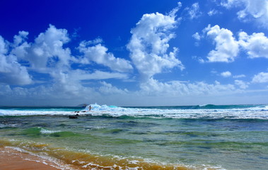A surfer guy waiting for big waves, surboard in his hand. Beautiful weather at Buddina Beach along Pacific Boulevard (Sunshine Coast, Queensland, Australia).