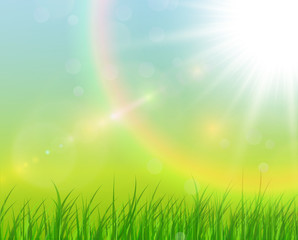 Fototapeta na wymiar Sunny natural background, summer sunny green