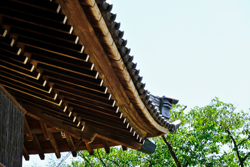 Fototapeta na wymiar Japanese temple roof of the house