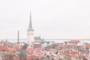 Fototapeta premium Old Tallinn in the morning mist.