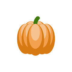 Pumpkin vector icon isolated on white background
