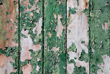 Paint peeling from a old wooden panel door, grunge texture background