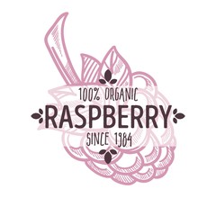 Raspberry isolated icon with lettering berry silhouette organic food