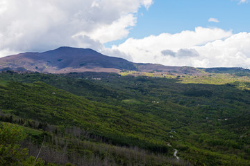 Fototapeta premium Beautiful spring landscape with hills in Tuscany