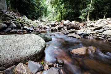 Creek through the rockbed 