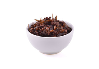 The male subterranean ants on white background. food of Northern Thailand.