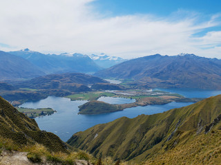 New Zealand nature