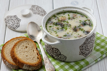 Homemade creamy mushroom soup with parsley.
