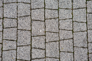 Material for sidewalk. Grey paving stone. Background.