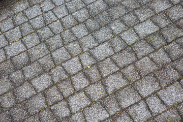 Material for sidewalk. Grey paving stone. Background.