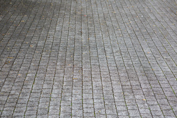 Material for sidewalk. Grey paving stone. Background.