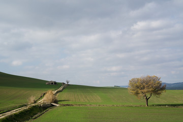 campagna