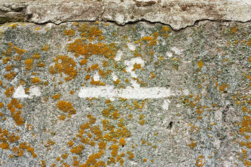 Concrete wall fragment. Old dirty cement texture with defects. Grunge surface with cracks and weathered.