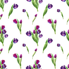 Seamless pattern from beautiful black tulips. Floral collection. Marker drawing. Watercolor painting. Floral composition of design elements. Greeting card. Painted background. Hand drawn illustration.