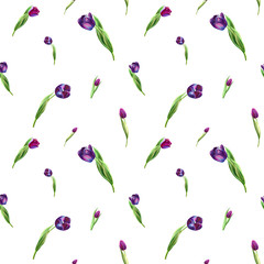 Seamless pattern from beautiful black tulips. Floral collection. Marker drawing. Watercolor painting. Floral composition of design elements. Greeting card. Painted background. Hand drawn illustration.