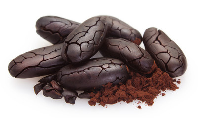 Cocoa bean with powder on white background