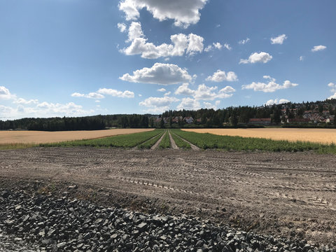 plowed field and blue sky