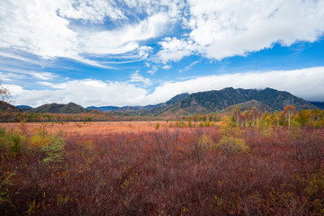 Red meadow and cloudy autumn landscape in the mountains, japan