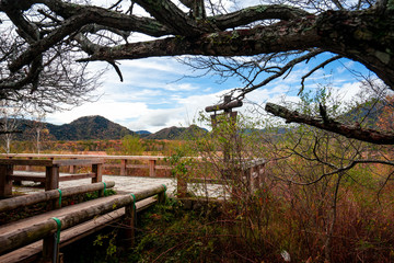 wooden bridge and blue sky in the senjougahara park