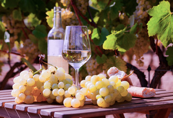 still life with glass of White wine grapes and bread on table in field