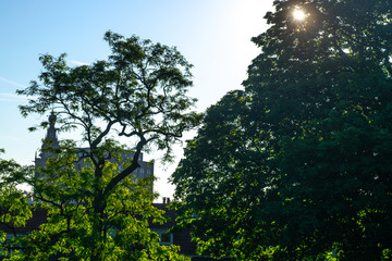 Stevenskerk church behind trees in sunlight in nijmegen