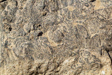 Texture of natural stone. Closeup