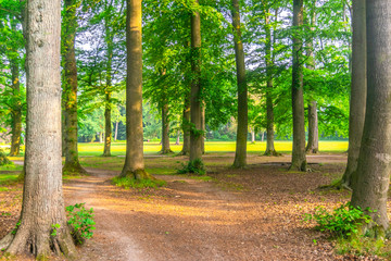 Trees in foreground of park banner