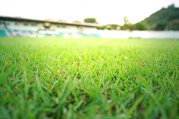 Green grass sport stadium