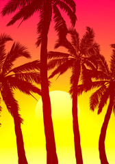 palm trees on a purple orange sunset sky