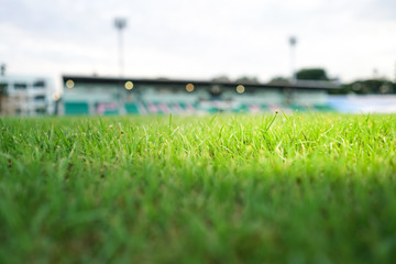 Green grass sport stadium