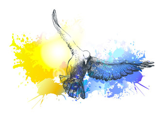 Birds flying. Colorful dove vector painting