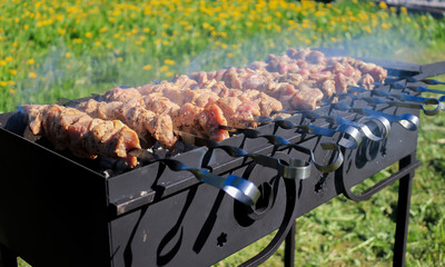 barbecue on the grill