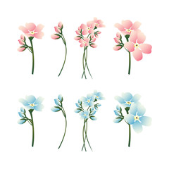  Flowers vector drawing
