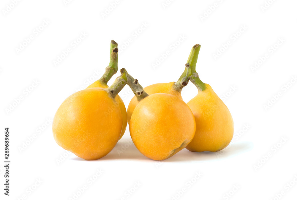 Wall mural Loquat or medlar branches isolated on white background