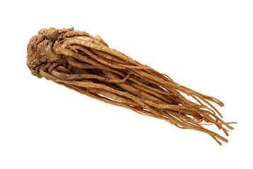 Angelica root used in chinese traditional herbal medicine, over white background. Radix angelicae sinensis