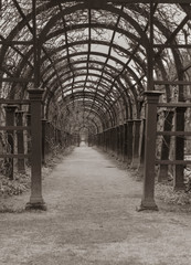 Pergola in park 