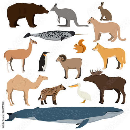 Big Animal Collection Vector Set Of Wild Animals Birds
