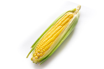 Close Up of raw corn on white background.